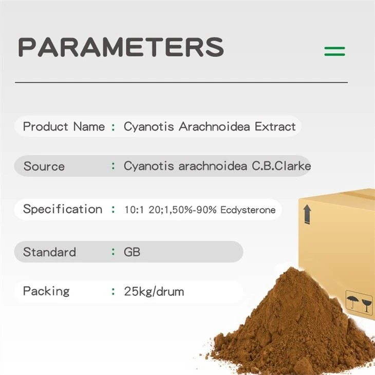 Cyanotis Arachnoidea Extract5%