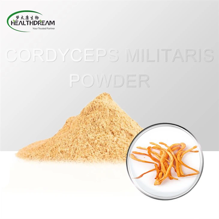 Cordyceps Militaris на прах (плодно тяло)